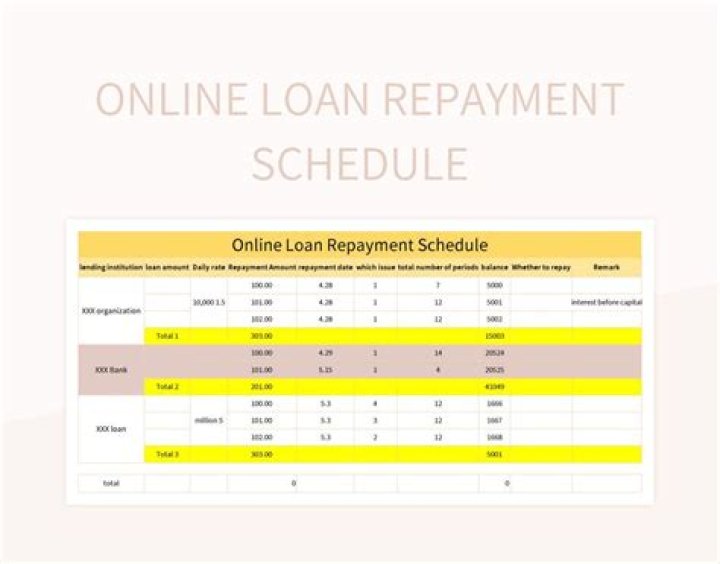 How do I set up a loan repayment plan?