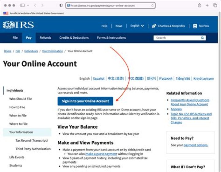 How do I view my IRS account information?