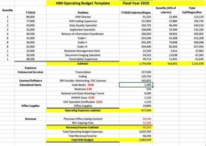 How do you create a hospital budget?