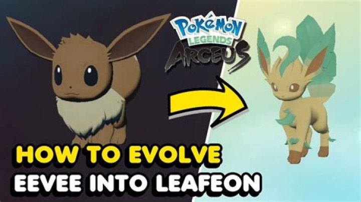 How do you evolve Eevee to level 42?