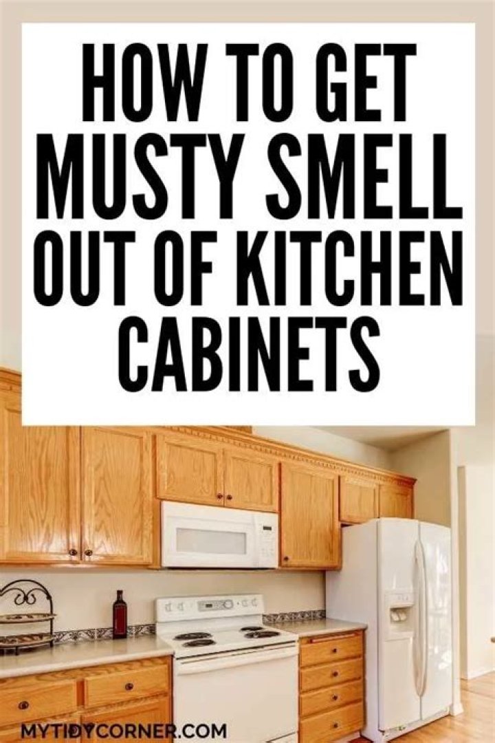 How do you get musty smell out of house vents?
