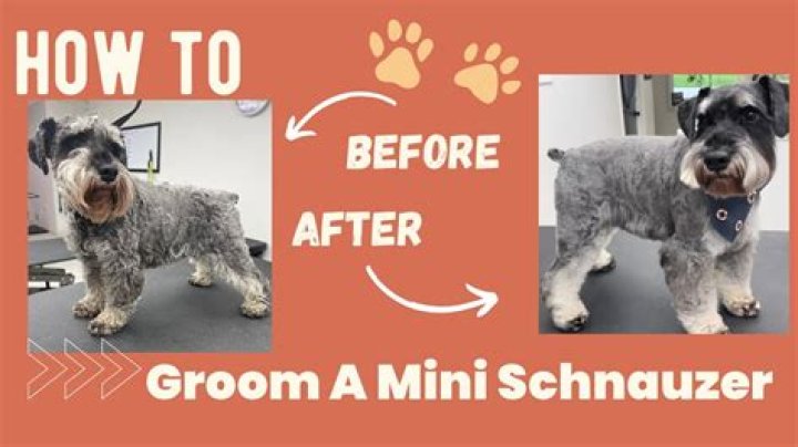 How do you groom a child?