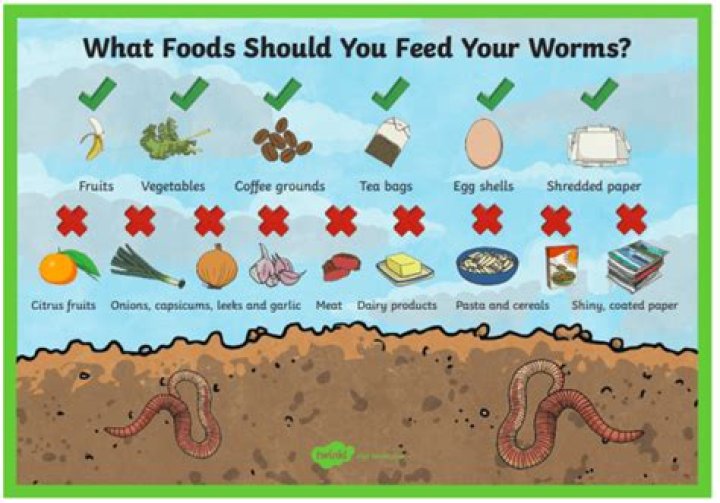 How do you keep worms from escaping worm bins?
