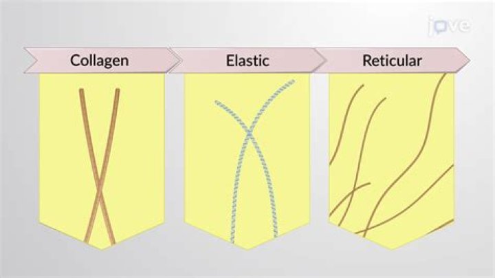 How do you kickstart collagen?