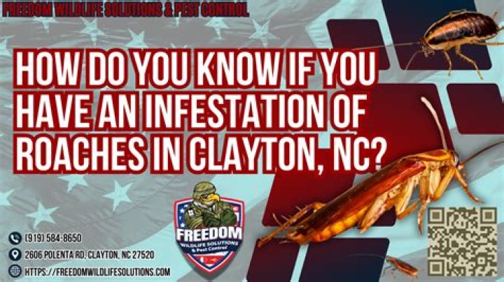 How do you know if you have an infestation of roaches?