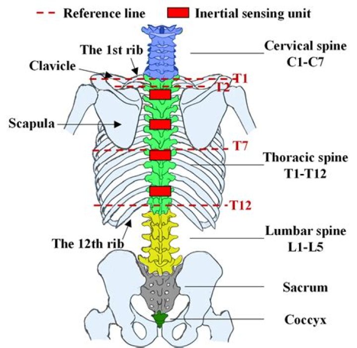 How do you know if your spine is out of alignment?