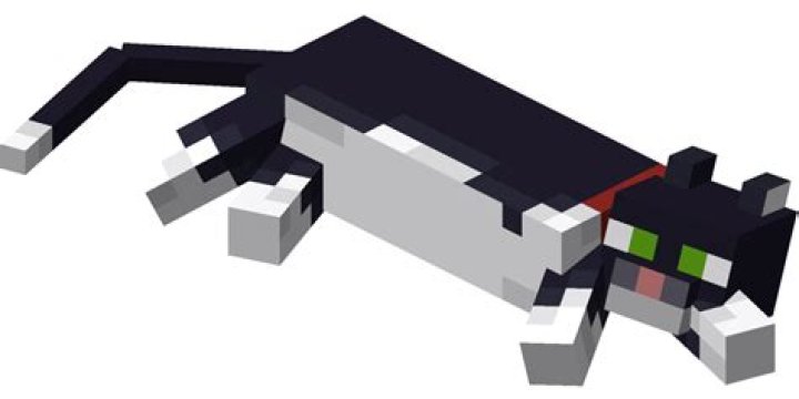 How do you make a cat collar in Minecraft?