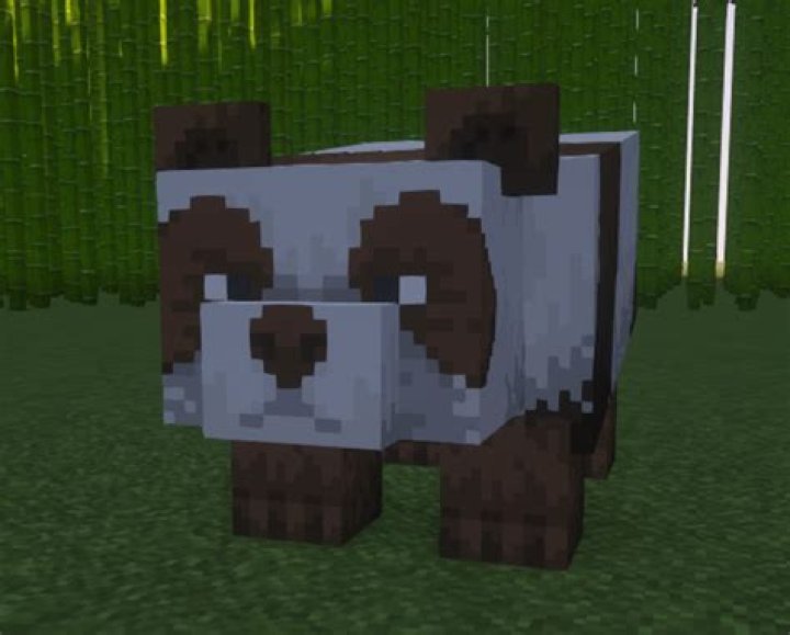 How do you make a sneezing panda in Minecraft?