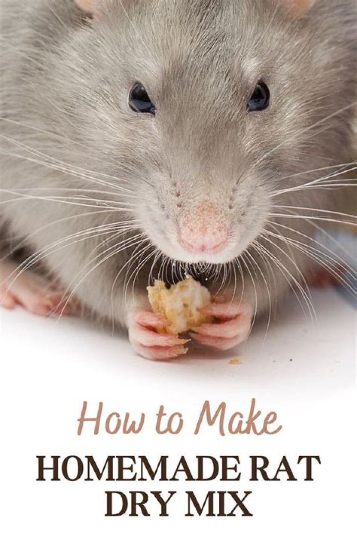 How do you make homemade rat bedding?
