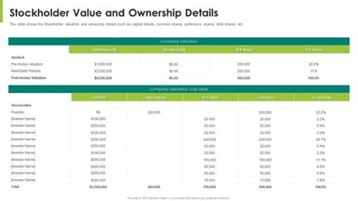How do you maximize stockholder value?