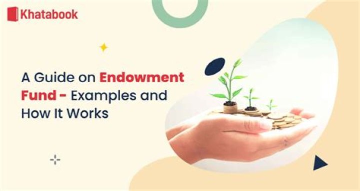 How do you record an endowment fund?