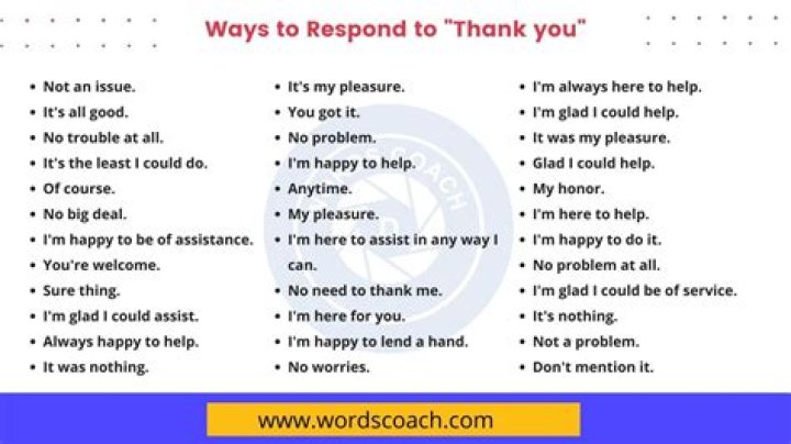 How do you reply to Do you understand?