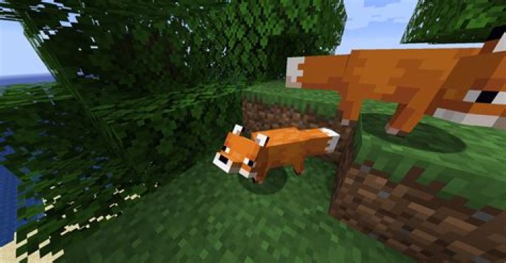 How do you tame a cannibal in The Forest?
