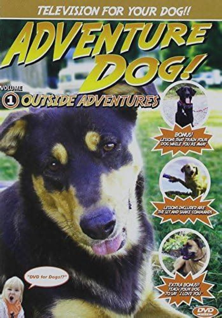 How do you train a dog to say I love you?