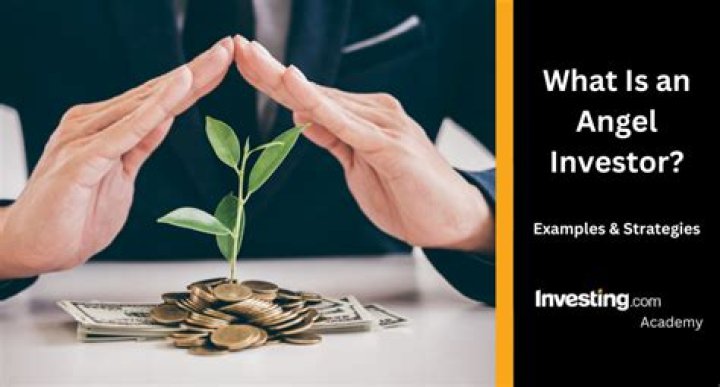 How does an angel investor invest in a startup?