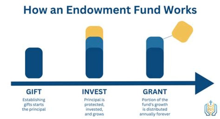 How does an opportunity fund work?