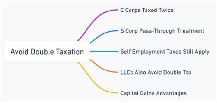How does an S corp avoid double taxation?