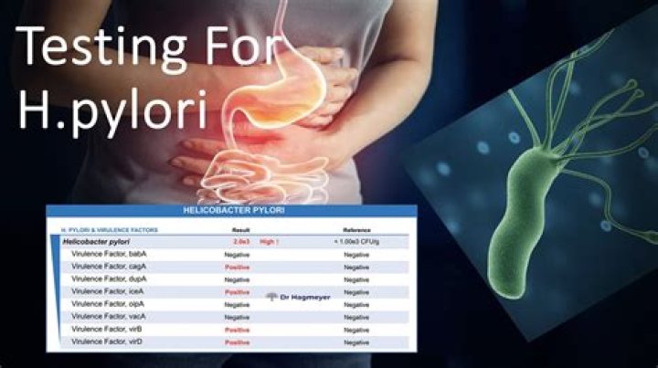 How does H. pylori affect the skin?