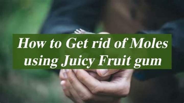 How does Juicy Fruit gum get rid of ground moles?