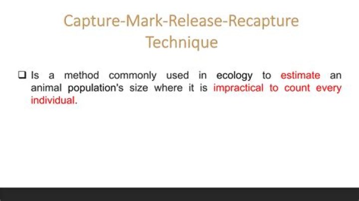 How does Mark Release Recapture work?