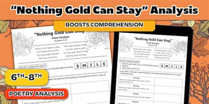 How Does Nothing Gold Can Stay relate to The Outsiders Chapter 5?