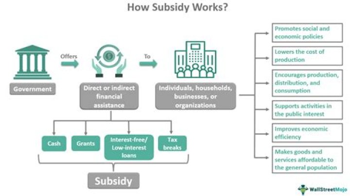 How does subsidy affect international trade?