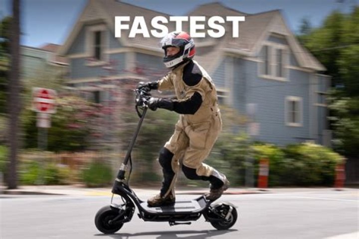 How fast is a donkey?