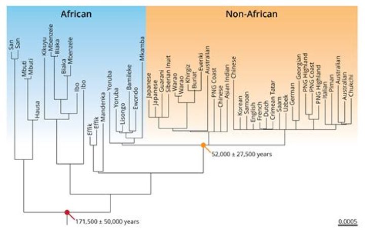 How healthy were our ancestors?