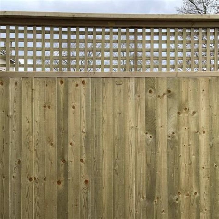 How high can my fence be UK?