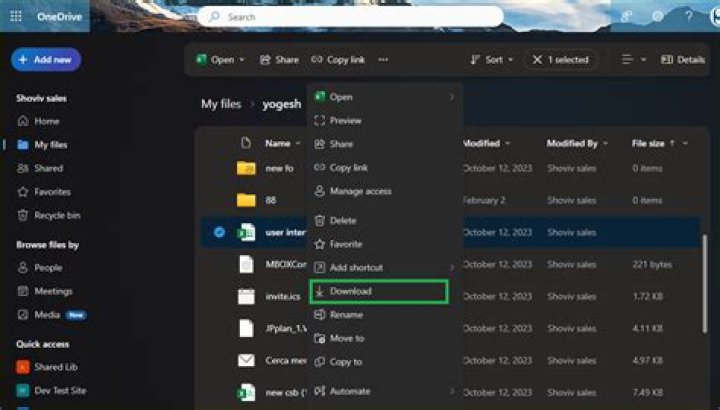 How is Homedrive set?