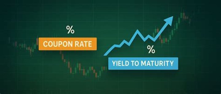 How is the coupon rate and yield to maturity expressed?