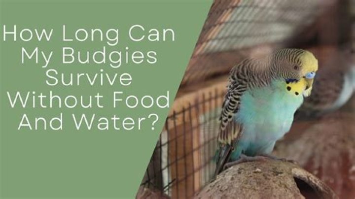 How long can a whirlpool last?