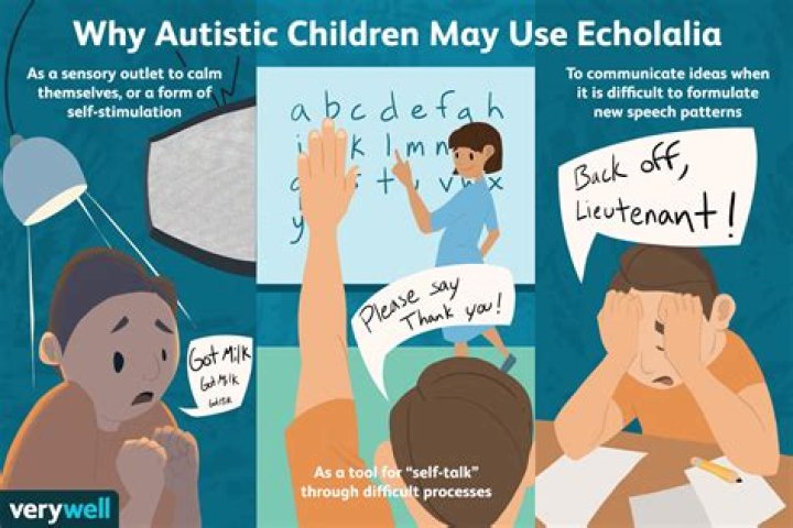 How long does echolalia Last autism?