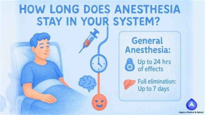 How long does general anesthesia stay in your system?