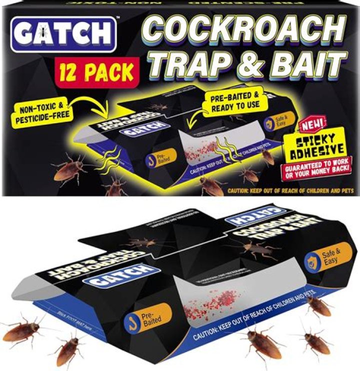 How long does it take for a roach infestation to go away?