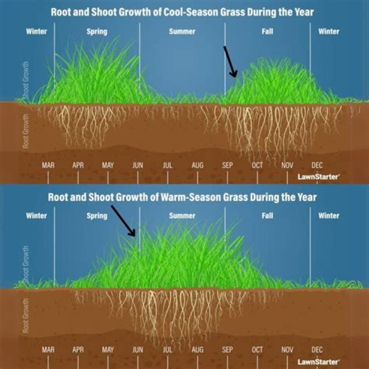 How long does it take for grass to grow from topsoil?