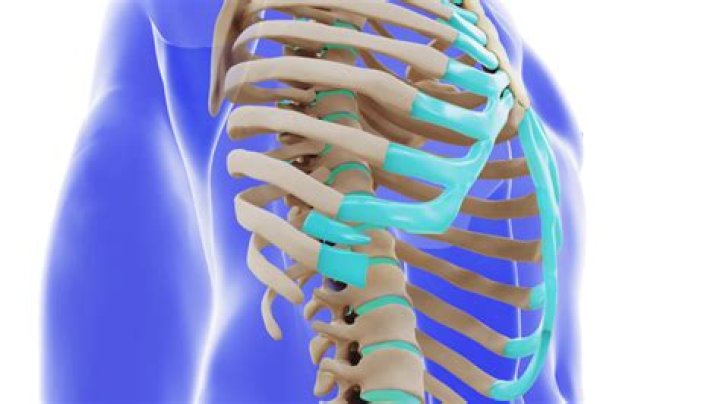 How long does it take for rib muscle pain to go away?