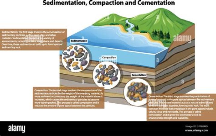 How long does it take for sediment to settle in well?