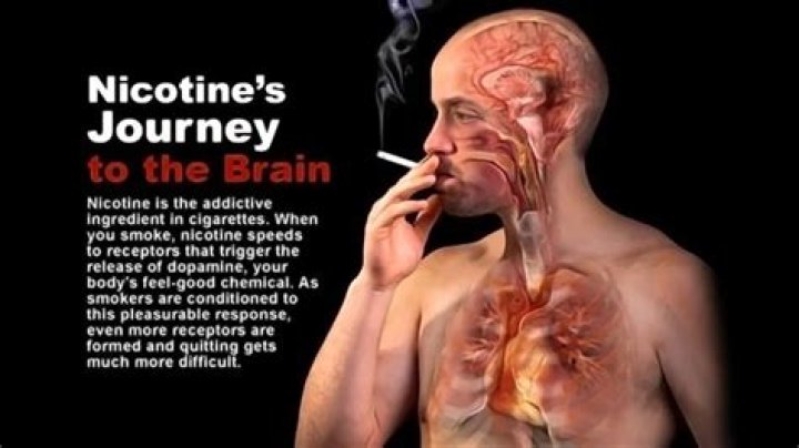 How long does it take for your brain to get used to not having nicotine?