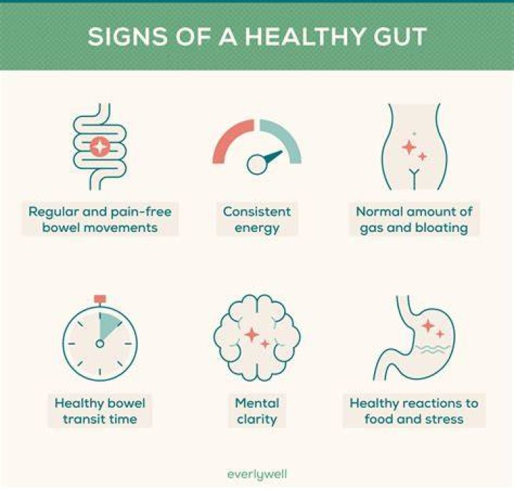 How long does it take to improve gut health?