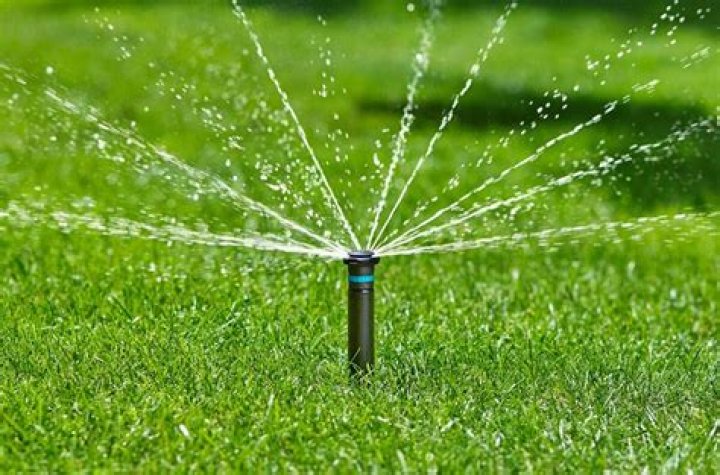How long should I set my sprinklers to run?