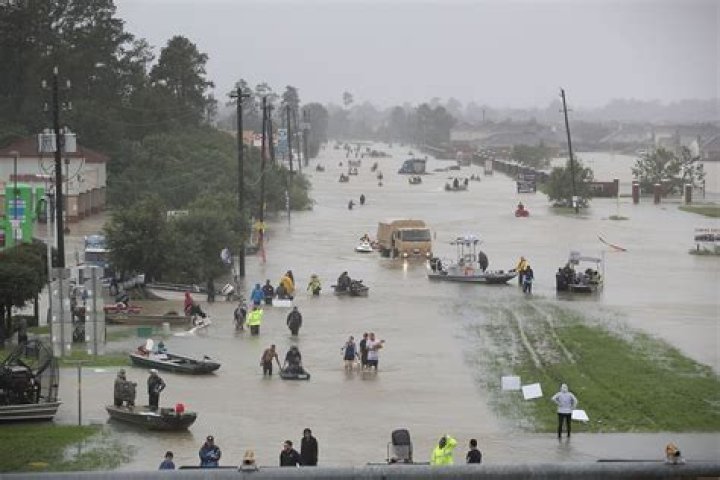 How many cars did hurricane Harvey destroy?