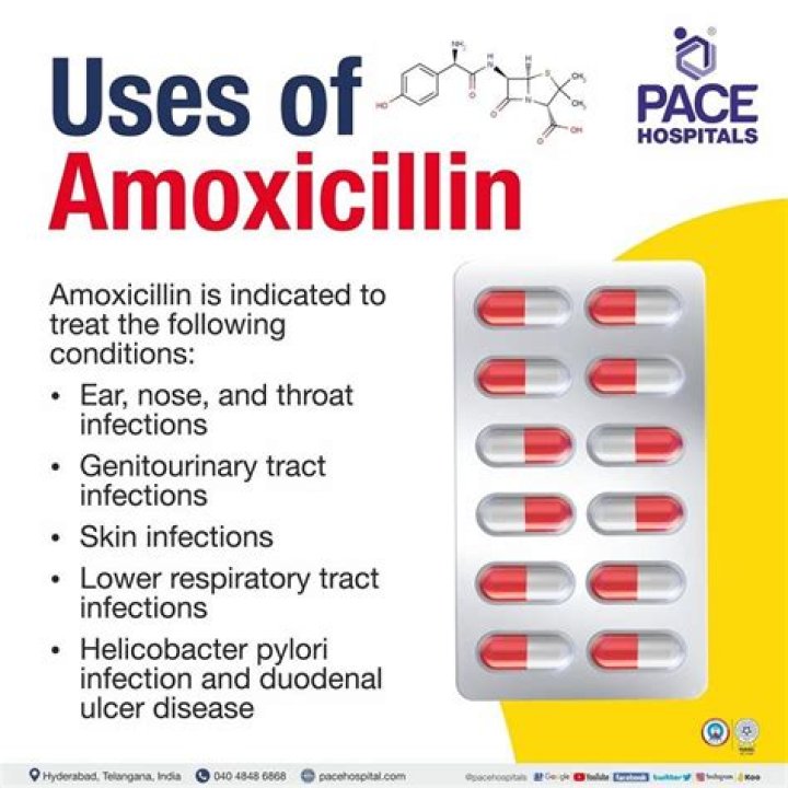 How many days should you take amoxicillin 500mg?