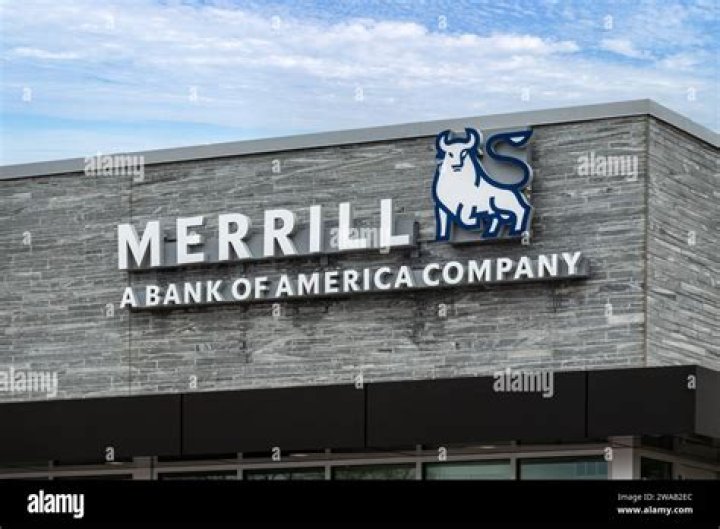 How many employees does Bank of America Merrill Lynch have?