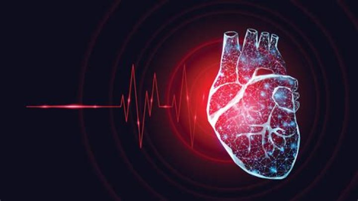 How many hours heart works after death?