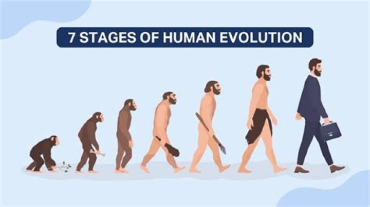 How many humans are left in Halo?
