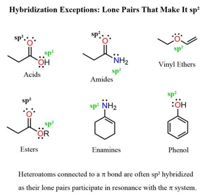How many lone pairs can a molecule have?