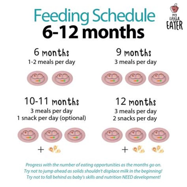 How many meals should a 6 month old baby have?