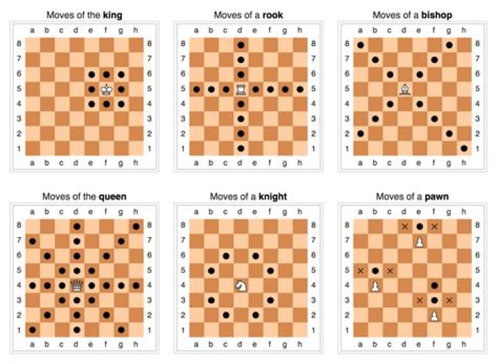 How many moves do chess players think of?