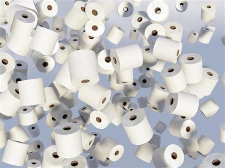How many rolls of toilet paper does the average person use in a year?